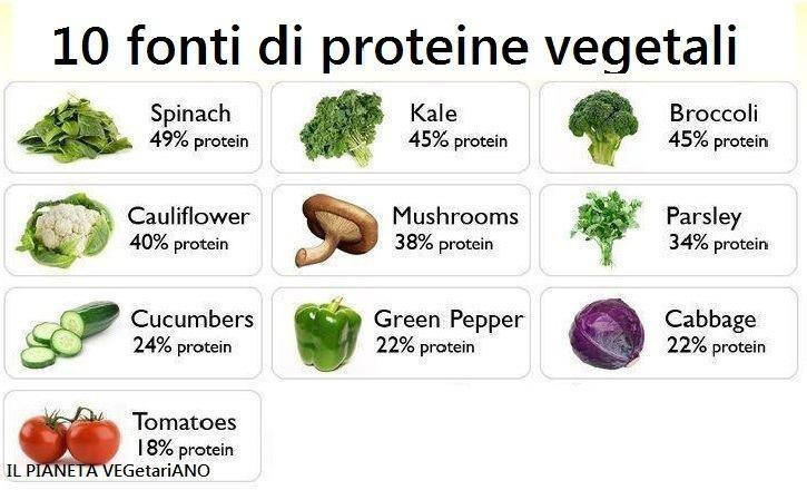 proteine nei vegetali
