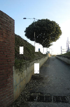 cedimento stradale Mantova